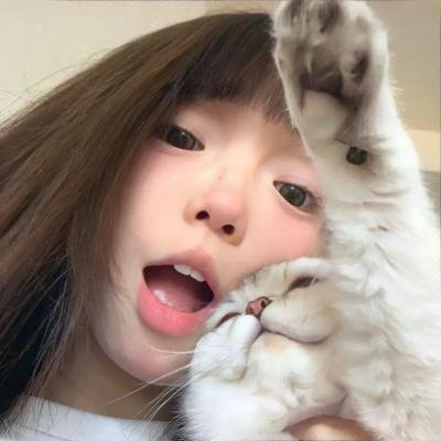 小猫钓鱼 在线观看封面